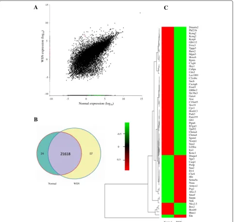 Fig. 2 RNA-seq analysis. a: The distribution of differentially expressed genes between the normal subjects and the WSN patients; b: Scatterplotshowing the number of activated (red) and reduced (green) genes in the normal subjects compared to the WSN patients; c: Heatmap showingthe relative expression of activated genes in the WSN patients (n = 24)