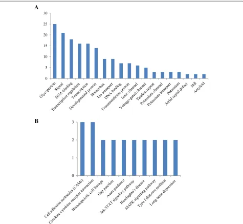 Fig. 3 Functional analysis and pathway analysis. a: Functional annotation of differentially expressed genes; b: Pathway analysis