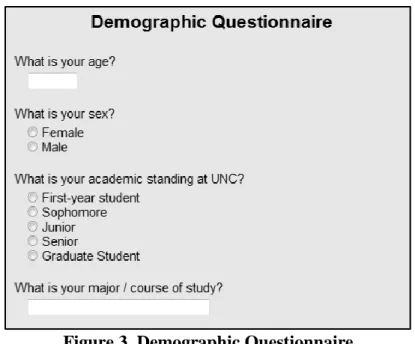 Figure 3. Demographic Questionnaire 