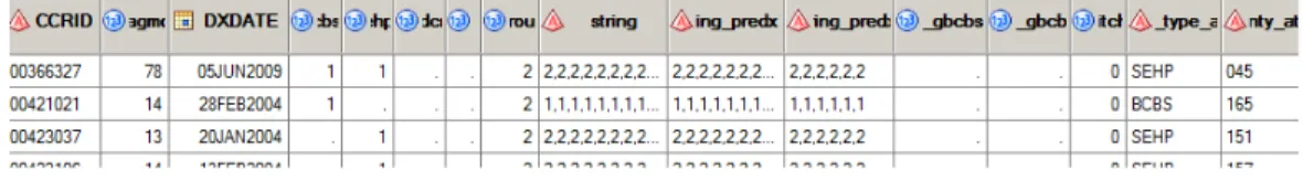 Figure 3: Section of sample record from the SAS file. 