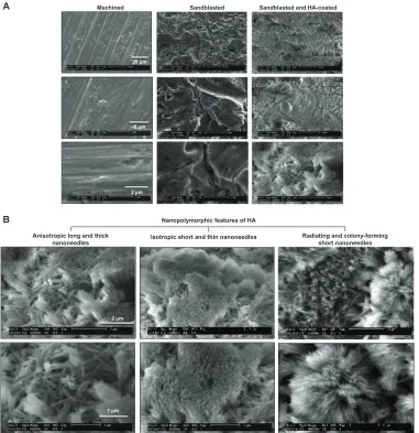 Figure 2 Creation of nanopolymorphic hydroxyapatite on microroughened titanium. Three different surfaces were prepared from grade 5 titanium alloy (Ti-6Al-4V)