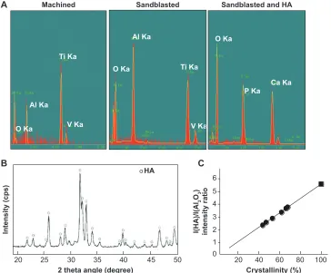 Figure 4 Surface chemistry and structural properties of sandblasted + hydroxyapatite-coated surfaces