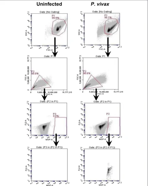 Figure 4 Gating strategy for MSP-1 positive (MSP+) events. The events in gate P1 were viewed in a FSC-A/FSC-H profile to distinguish andselect cell singlet in gate P2