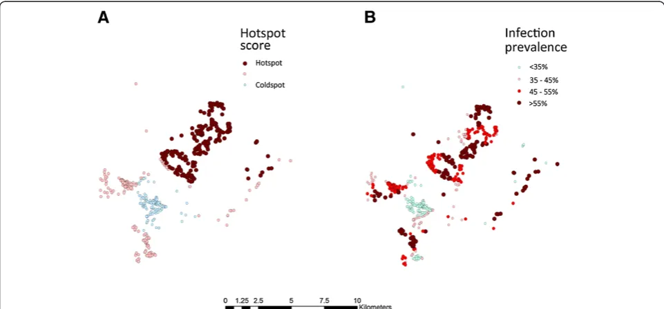 Figure 2 Clustering of sero-positivity to AMA-1 in 2010 using SaTScan and kernel Method