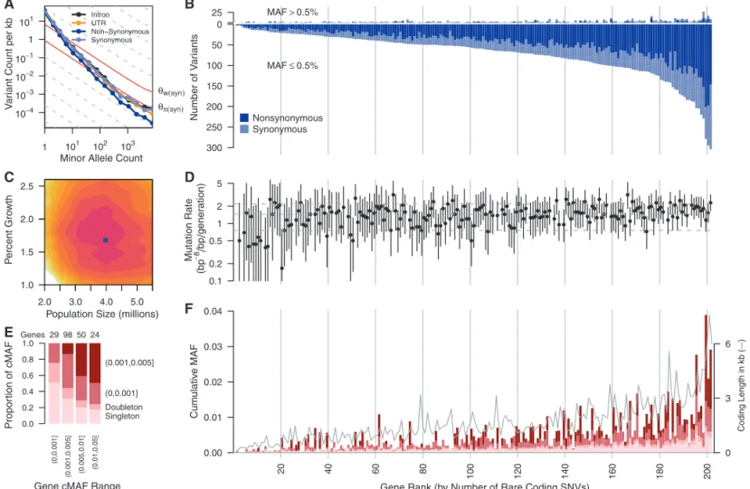 Fig. 1. (A) Frequency spectrum of variants relating the number of variants per kilobase within minor allele counts