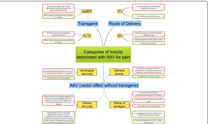 Figure 1 Potential toxicities of adeno-associated virus (AAV) gene therapy for chronic pain