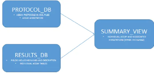 Figure 2: High Level Schematic of Assay Information 