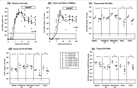 Figure 4 Viral dynamics in SIV-infected macaques receiving a short-term HAART just after the viremia peakat different levels depending on the tissue considered: in the gut, the decrease was significant, whereas in spleen and peripheral LN, the viraldissemi