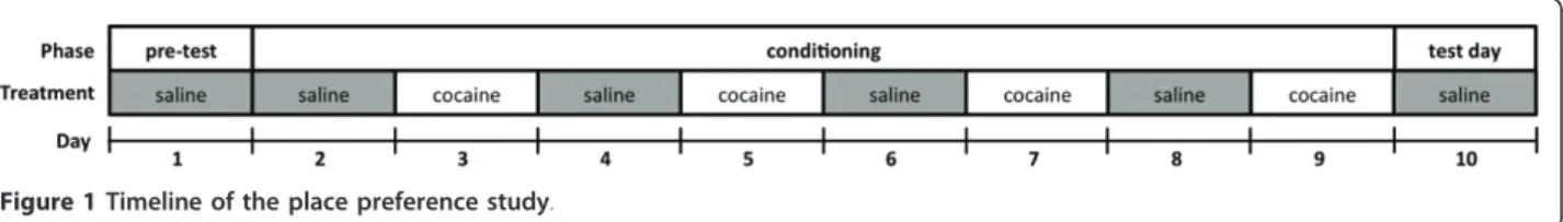 Figure 1 Timeline of the place preference study.