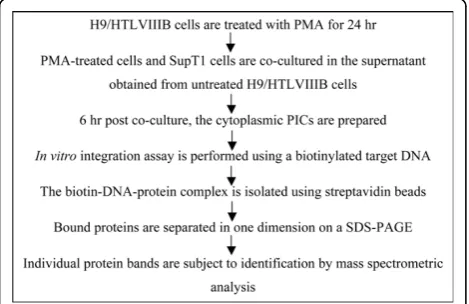 Table 1 Summary of previously characterized hostproteins interacting with HIV-1 IN