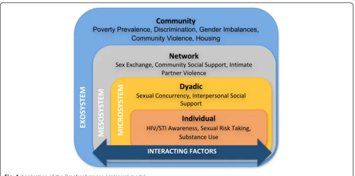 Fig. 1 Application of the Bronfrenbrenner ecological model