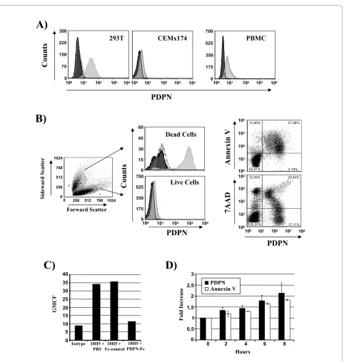 Figure 5 Evidence that apoptotic cells express podoplanin. (A) Podoplanin expression on the indicated cell lines was assessed by flow cytometry