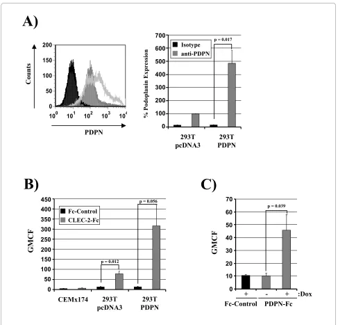 Figure 2 Podoplanin is expressed on 293T cells and binds to CLEC-2fected with a podoplanin expression construct