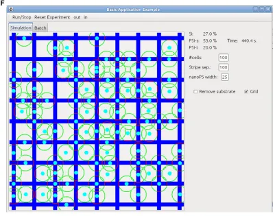 Table 1 Surface distribution of the cells for the different Si/ nanostructured porous silicon micropatterns