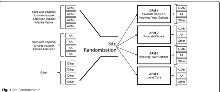 Fig. 1 Site Randomization