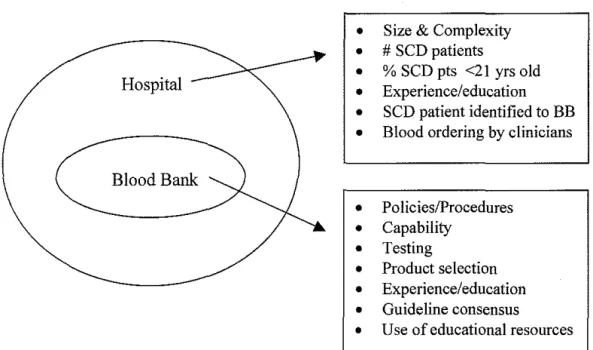 Figure 3.  Factors Affecting Transfusion Delivery to  SCD Patients 