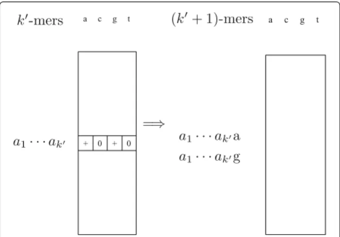 Fig. 1 Illustration of the iterative algorithm to enumerate k-mer frequencies. For the k  -mer a 1 · · · a k  , its two frequency slots with zero counts for nucleotides c and t are removed to obtain (k  + 1)-mers a 1 · · · a k  a and a 1 · · · a k  g