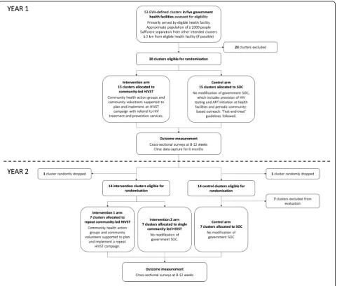 Fig. 1 Flow diagram of trial design