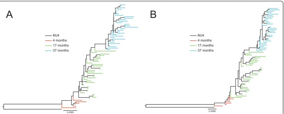Figure 2 ML phylogenetic analysis of single genome sequencesare drawn in scale with the bar at the bottom representing 0.008 nucleotide substitutions per site