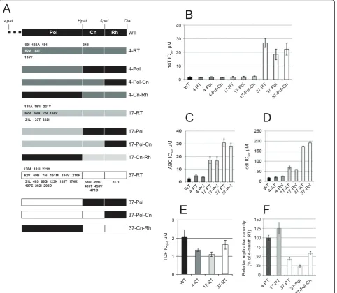 Figure 3 NRTI susceptibilities and replicative capacity associated with RT domains of patient P66