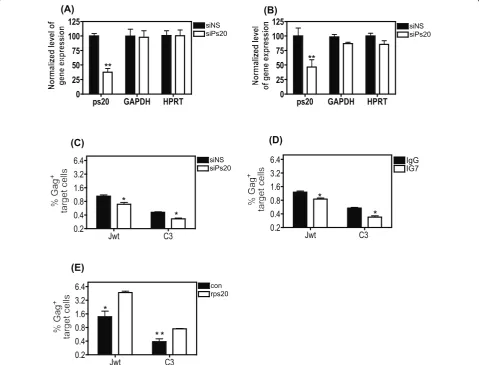 Figure 4 Blocking endogenous ps20 inhibits HIV-1 transfertreated cells were dye-labelled and co-cultured with 40% 2044-infected donor Jurkat cells at a T:D ratio of 1:0.2