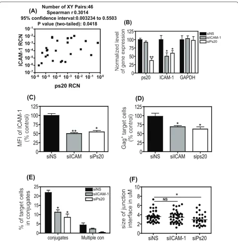 Figure 6 siRNA-mediated knockdown of ps20 inhibits conjugate and multiple conjugate formation more effectively than siRNA-with either; a non-silencing (NS), ICAM-1 or WFDC1/ps20-silencing siRNA pool for 6 days