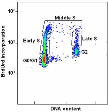 Figure 1 shows a typical flow cytometry analysis of NHF1 cells after 24 hrs in aphidicolin and BrdUrd