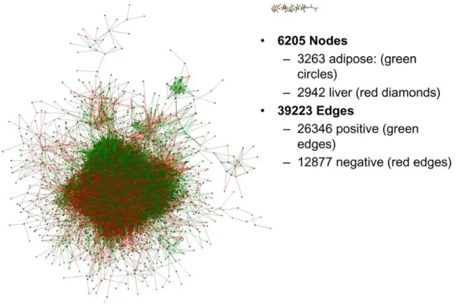 Figure S9. Adipose-Liver (AL) TTC Network 