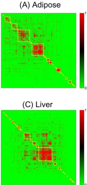 Figure S3. Modules in single tissue GGC networks as detected by the algorithm. Each  cluster is marked by the yellow rectangles