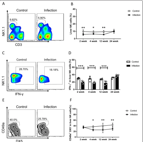 Fig. 1 The decline in liver NK cells percentage and function in E. multilocularis infection