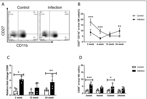 Fig. 2 The maturation status and activation of mice liver NK cells inof CD27 E. multilocularis infection