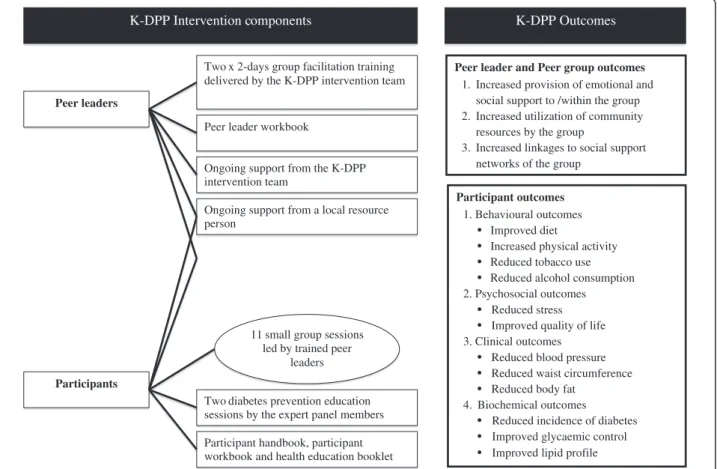 Figure 3 Kerala diabetes prevention program intervention components and outcomes.
