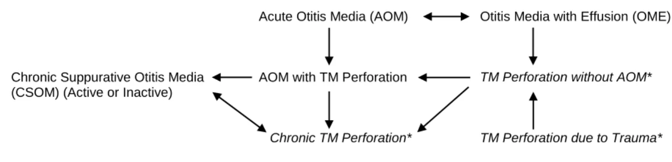Figure A1. Relationships between common types of otitis media and tympanic membrane perforations 29,63,64,67