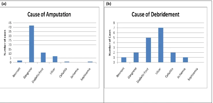 Figure 6: Caused of (a) Amputation and (b) Debridement 