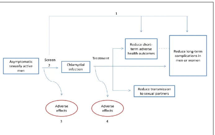 Figure 2. Analytic Framework for Chlamydia Screening in Men 