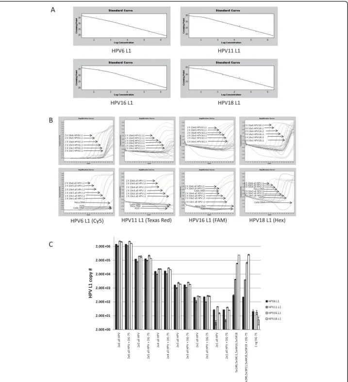 Figure 4 The qPCR assay can specifically detect the HPV type L1 in a complex mixture containing all 4 L1 amplicons