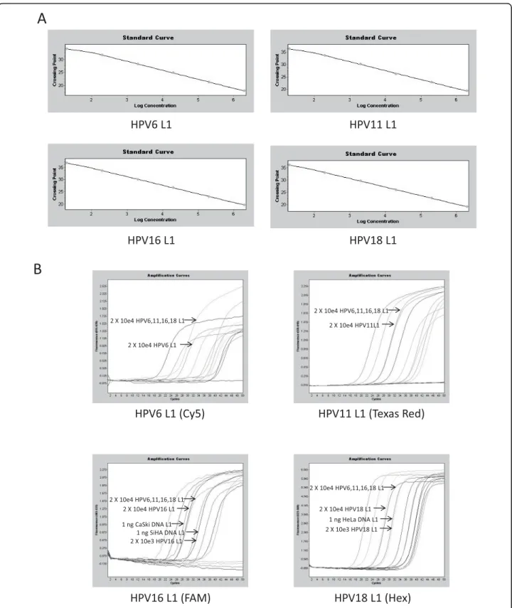 Figure 3 Standard curve and amplification plots obtained for single qPCR assays. (a) Reactions containing single type-specific primer pairs and probes were performed on a serial dilution of purified plasmids to generate standard curves that show a linear r