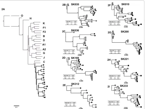 Figure 2 Maximum Likelihood trees of SGA-derived full-length env sequences from Progressors and Slow progressors