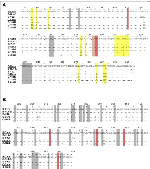 Figure 1 Comparison of RT sequences of experimental subtype B and C isolates. All sequences of polymerase domain (AA residues 1-315)(A), connection (AA residues 316-437) and RNase H (AA residues 438-560) domains (B) are aligned with HIV-1 subtype B consens