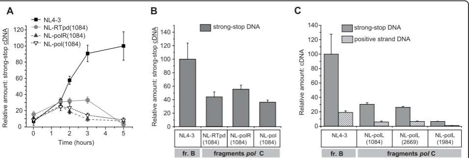 Figure 5 The presence of RT functional domains from HIV-1 subtype C leads to decreased cDNA accumulationviruses were subjected to ERT with addition of dNTPs and permeabilizing agent melittin