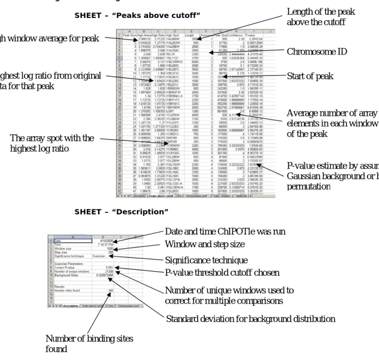 Figure 2. Looking at Results 