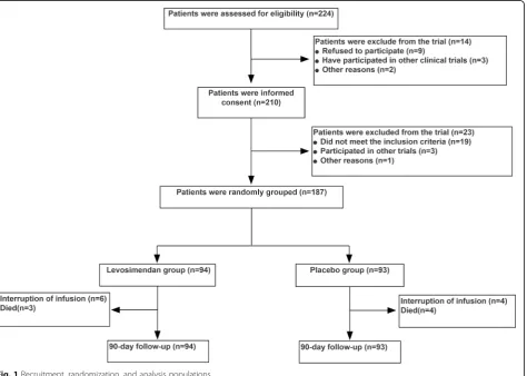 Fig. 1 Recruitment, randomization, and analysis populations