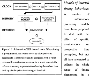 Figure 1.1. Schematic of SET internal clock. When timing 