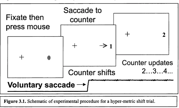 Figure 3.1. Schematic of experimental procedure for a hyper-metric shift trial.