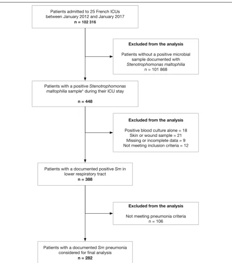 Fig. 1 Flowchart of the inclusion of patients presenting with Stenotrophomonas maltophilia hospital-acquired pneumonia