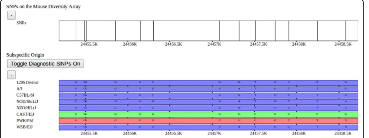 Figure 3 SNPs and subspecific origin. Mouse Diversity Array SNPs (above) and subspecific origin (below) shown at a fine resolution