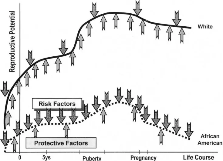 Figure 6. Lifecourse health development (Lu &amp; Halfon, 2003, p. 18) 