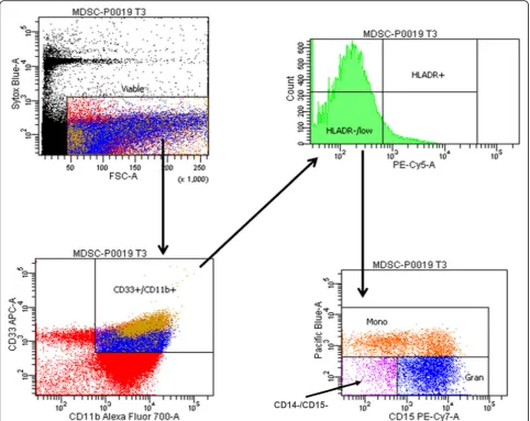 Fig. 1 Phenotypic classification of MDSCs. Gating strategy used to classify CD33+CD11b+HLA-DR−/low MDSC populations in the human wholeblood using samples stained according to the protocol and analyzed on the LSR II flow cytometer