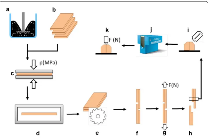 Fig. 1 Schematic process flow of specimen preparation: adhesive modification ((shear samples (surfaces preparation by Ultracut (a), wood lamella preparation b) bonding by a laboratory press (c), thermal postcuring (d), formatting (e) preparation of lap joint tensile f), tensile shear test (g), cutting of nanoindentation samples (h), cut to size by razor blade (i), j), testing by nanoindentation (k)