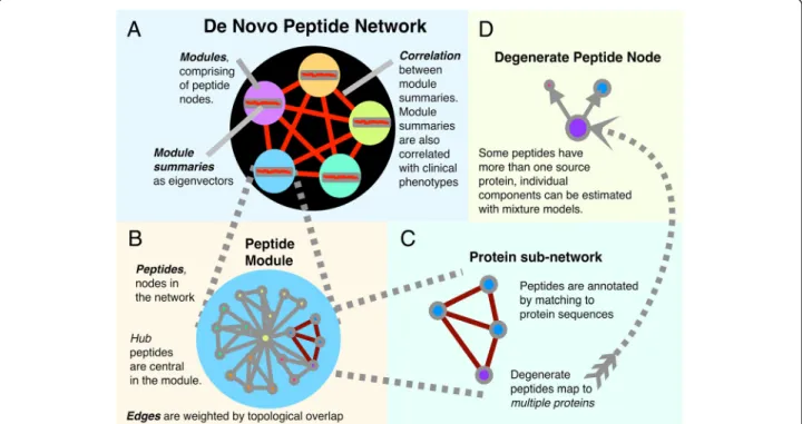 Figure 1 Detail of the peptide network. (A) The peptide network is decomposed into a set of subnetworks or modules